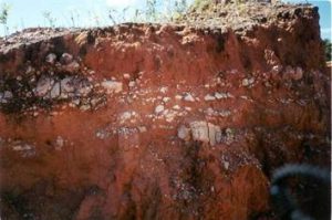 tipos de suelo para construir con paja, casa de paja, autoconstruccion con paja, bioconstruccion, casas de paja, como hacer una casa, casa de fardos de paja, casa de alpacas, casa natural, casa ecologica, casa sostenible, vida alternativa, curso autoconstruccion, como contruir con paja, ecoaldea, casas baratas, autosuficiencia